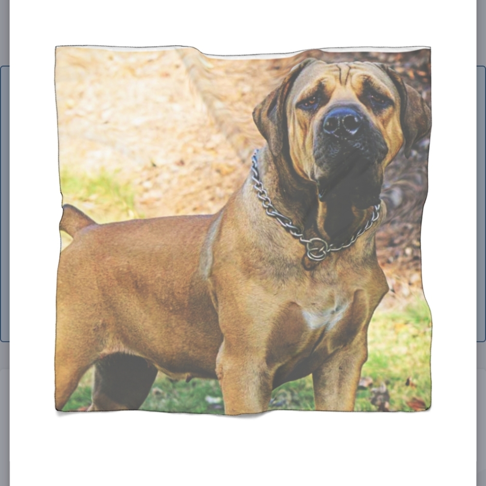 Boerboel Scarf